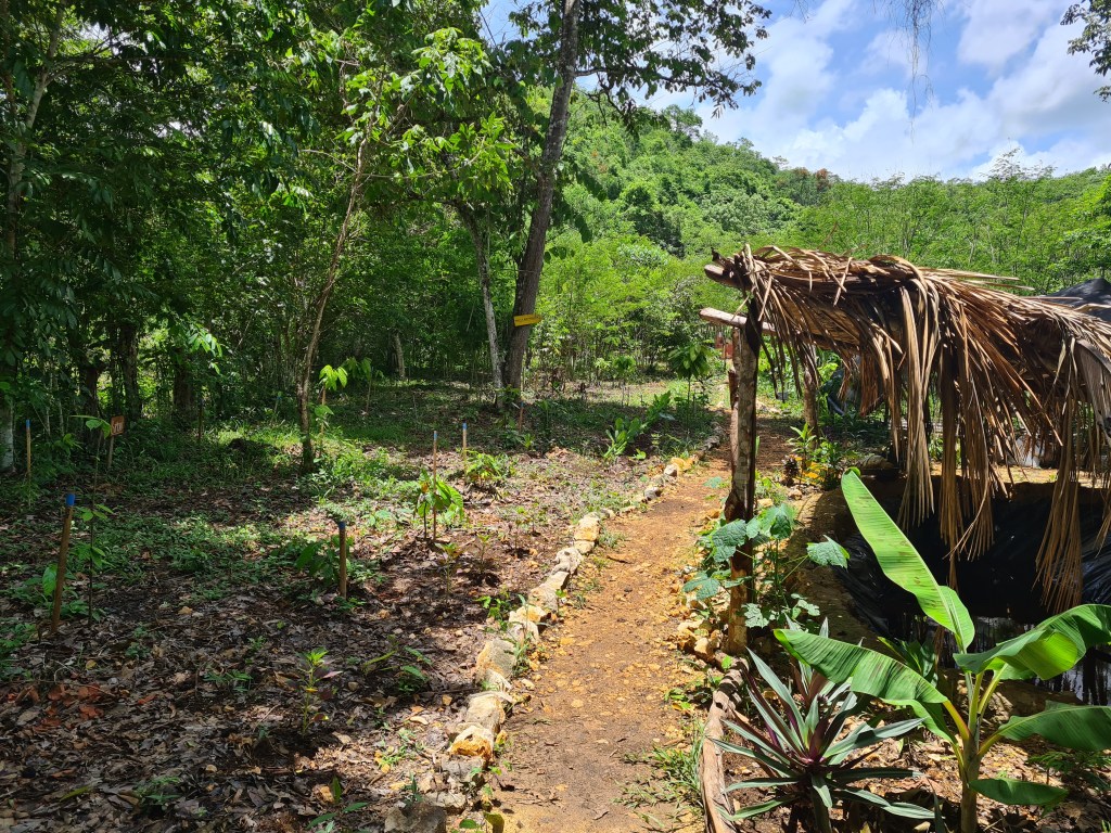 Guatemala: grassroots voluntary projects making a real&nbsp;difference